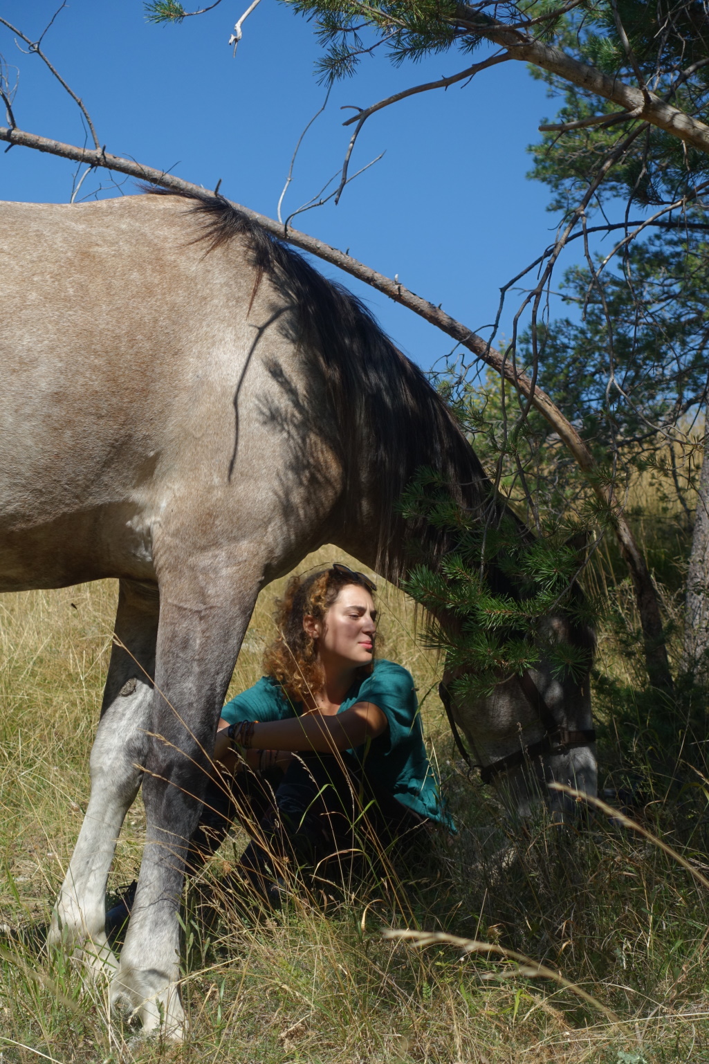 sourire cheval randonnée agréable nomade
