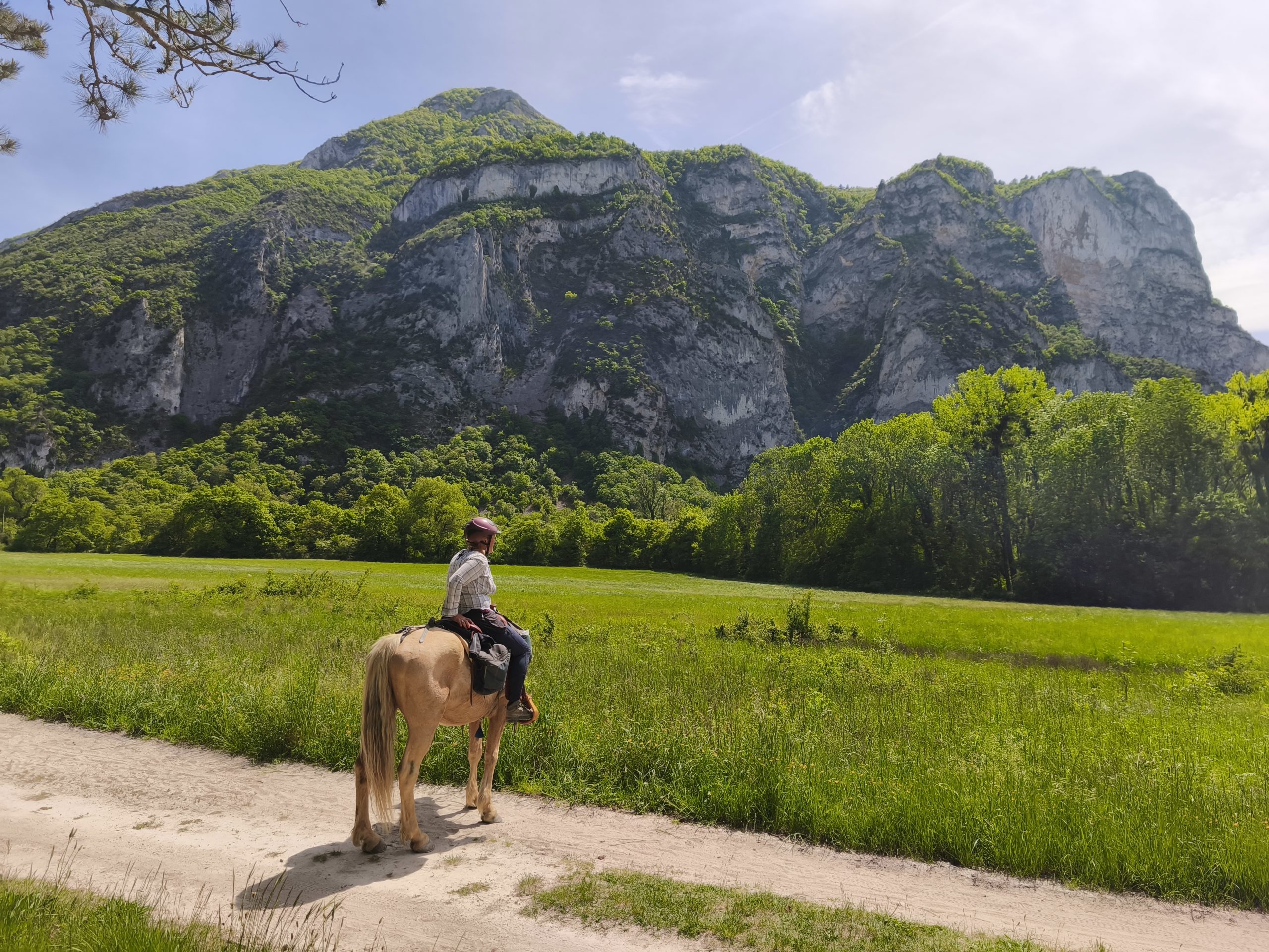 nomadrandoacheval forêt de Saou cavaliere bonheur vert montagne randonnee a cheval